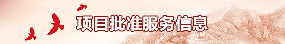 项目批准服务信息