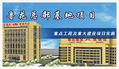 鲁花总部基地项目