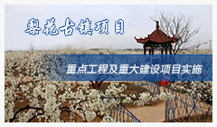 梨花古镇项目